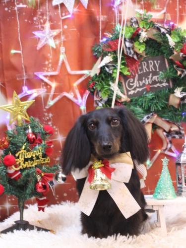 20231229小太郎くん